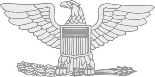 Colonel (United States)